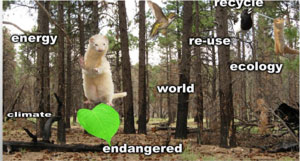 Poster design created using the Film Education Furry Vengeance poster activity