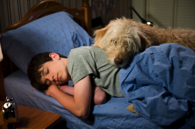 A teenage boy sleeps in his bed with a dog lying on top of the covers