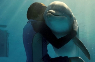 A young boy hugs a dolphin underwater