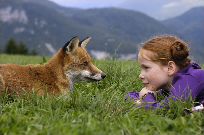 Still from the film, showing the fox and child looking in to each other eyes
