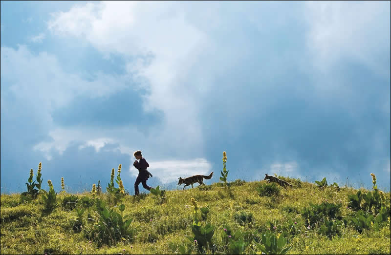 Still from the film, showing a long shot of the fox chasing the child