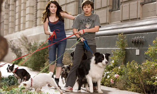 A Still from the film where the two main characters are intereacting with the lead dog.