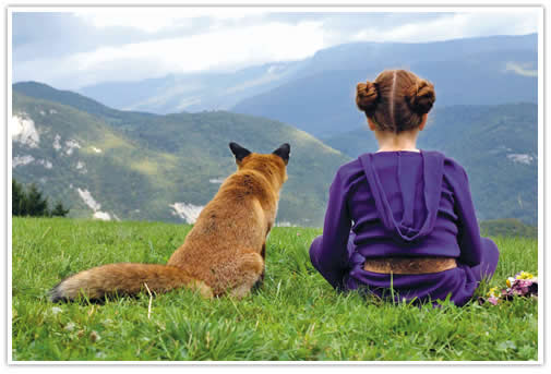 the fox and the child enjoy the view