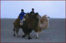 mongolia2